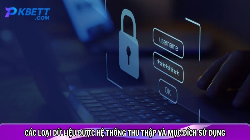 Các loại dữ liệu được hệ thống thu thập và mục đích sử dụng