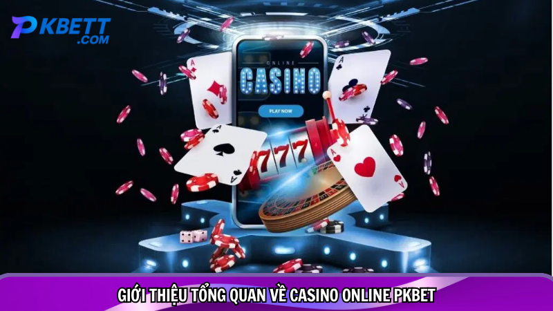 Giới thiệu tổng quan về casino online PKBET